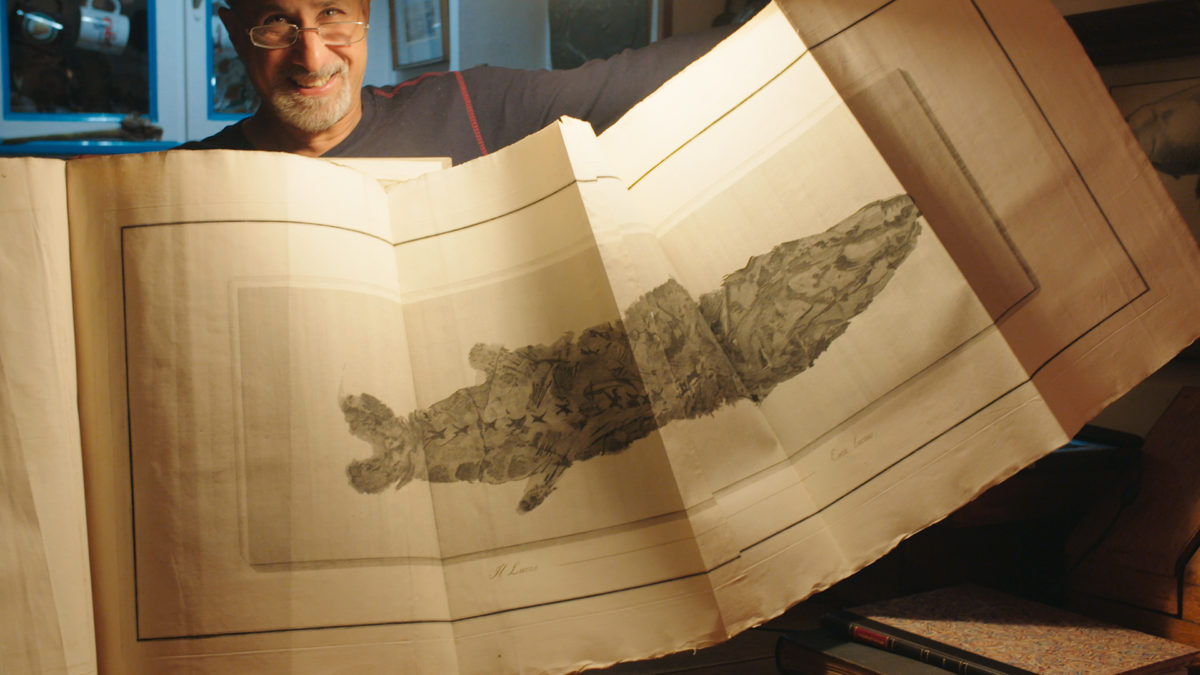 KSIĘGARNIE NOWEGO JORKU - kadr 2