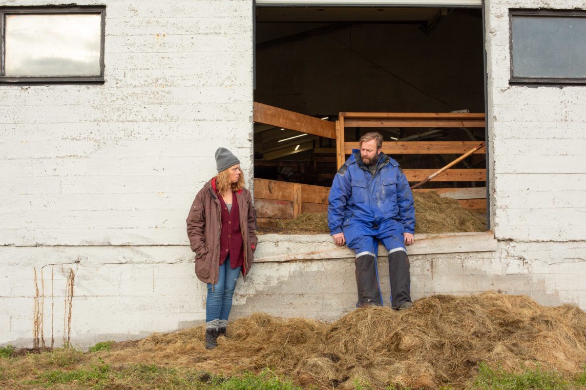 DALEKO OD REYKJAVÍKU - kadr 1