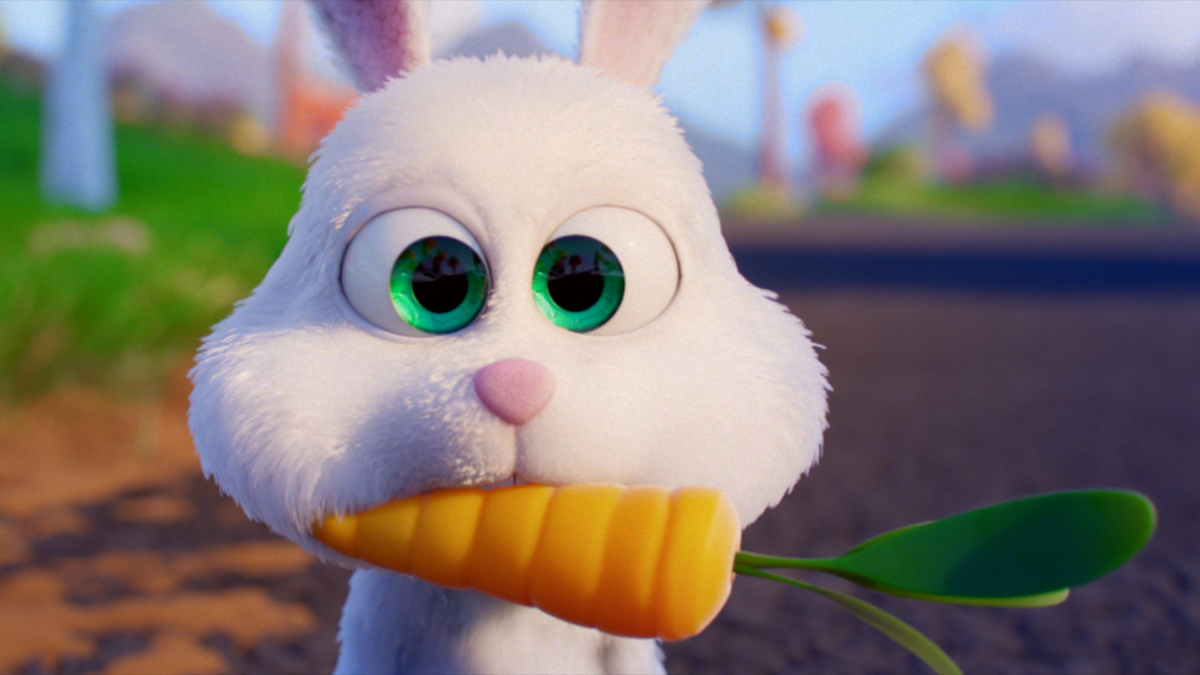 ELLA BELLA BINGO - kadr 2