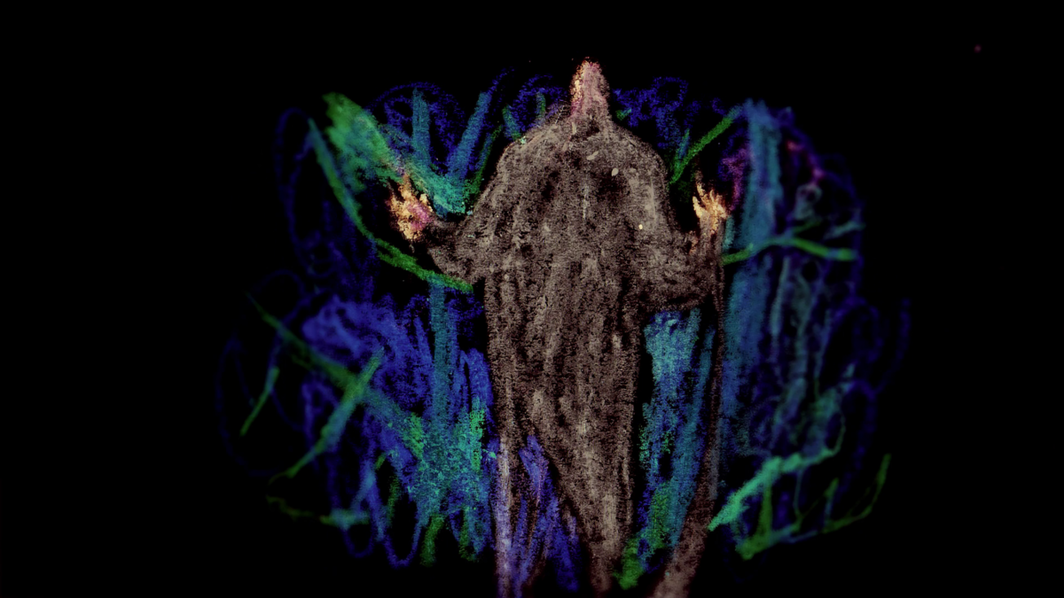 ANIMATOR.PL III – PRYWATNE MIKROŚWIATY - kadr 1