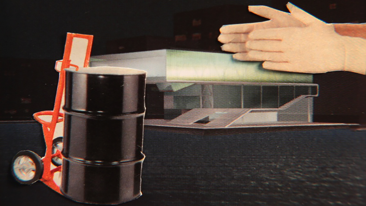 ACCIDENTAL LUXURIANCE OF THE TRANSLUCENT WATERY REBUS - kadr 3