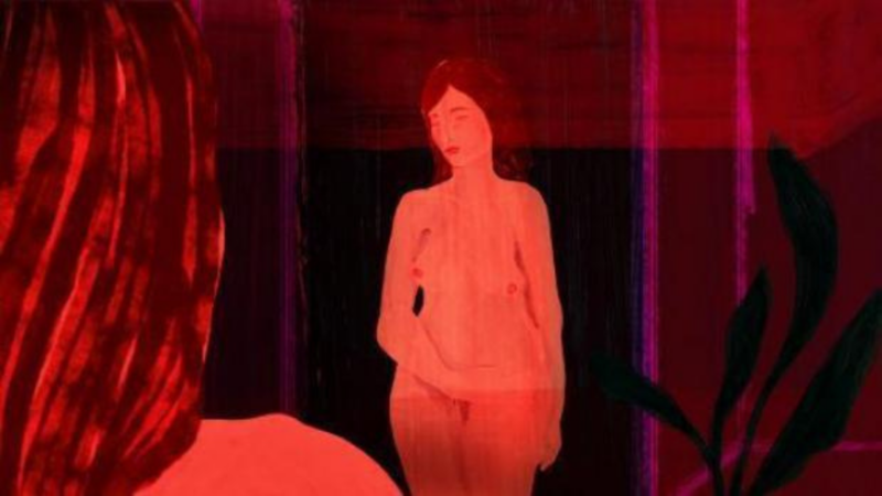 ANIMATOR.PL II – KOBIECY PUNKT WIDZENIA - okładka