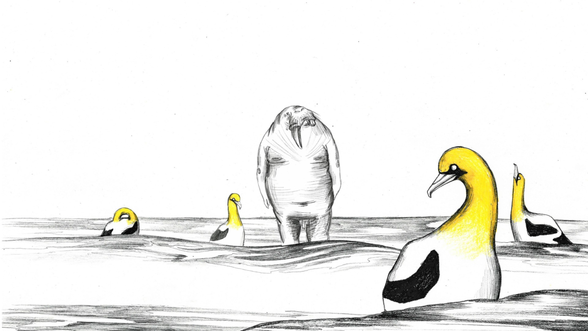 ANIMATOR.PL IV – RZECZYWISTOŚĆ JEST GDZIE INDZIEJ - kadr 2