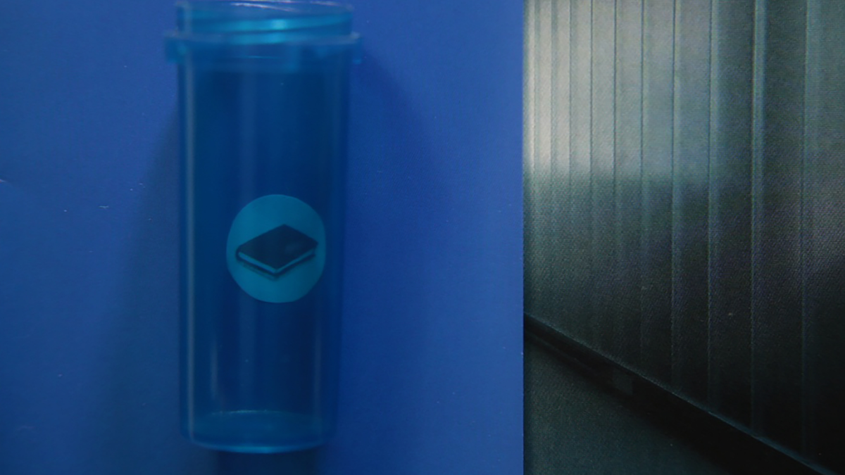 CIRCUMSTANTIAL PLEASURES - kadr 1