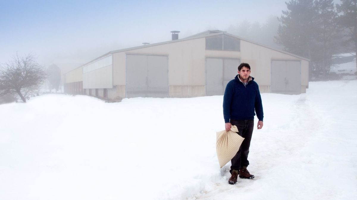 Tylko zwierzęta nie błądzą - kadr 2