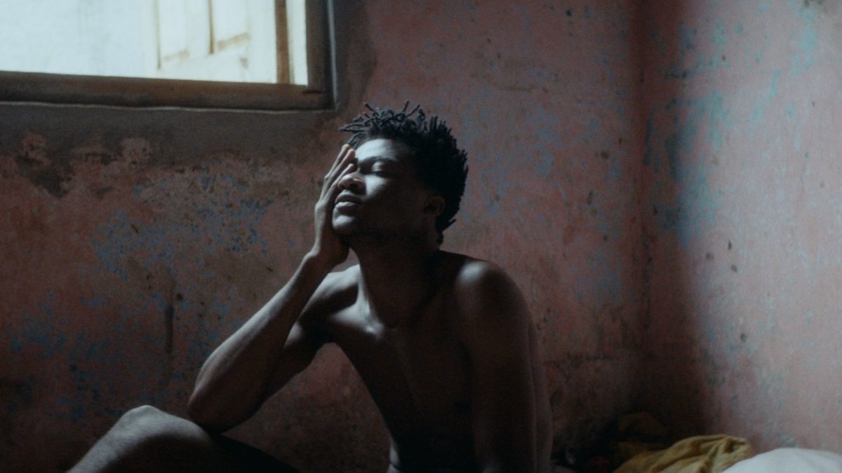 Tylko zwierzęta nie błądzą - kadr 2