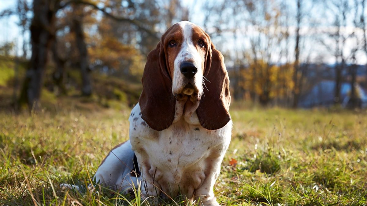 OPERACJA CZŁOWIEK W CZERNI - kadr 1