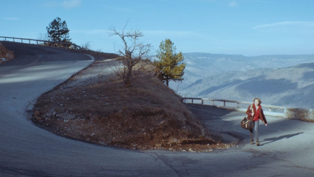 Tylko zwierzęta nie błądzą - kadr 2