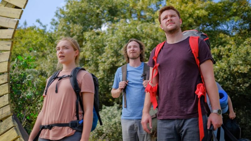 Midsommar. W biały dzień - okładka