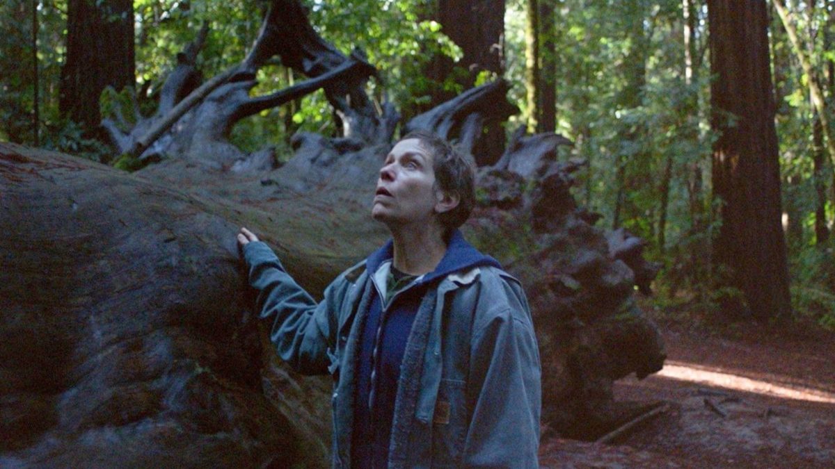 Nomadland - zdjęcie 1