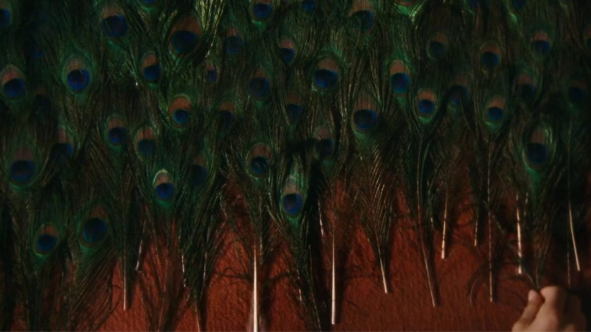 Metamorfoza ptaków - kadr 2