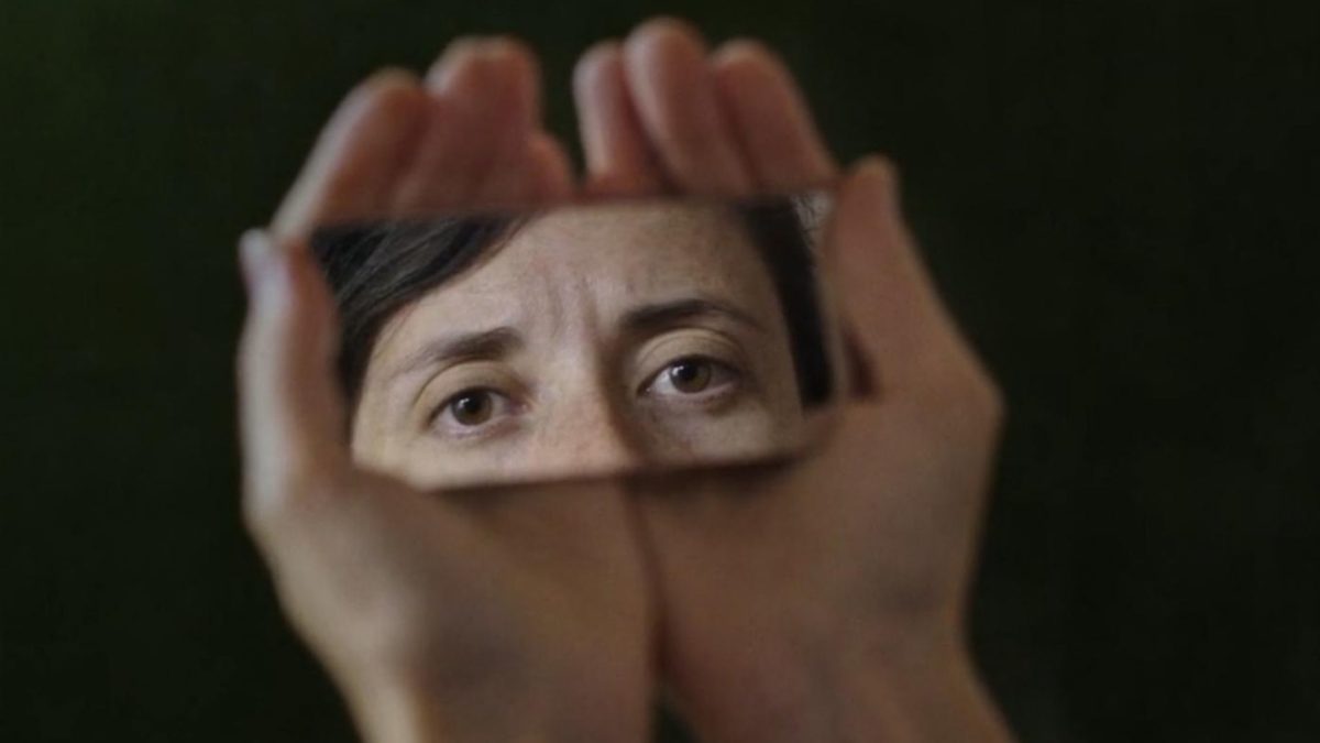 Metamorfoza ptaków - kadr 1