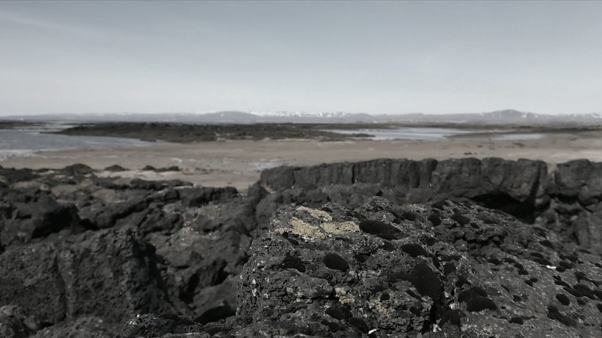 Zestaw filmów pandemicznych - kadr 3