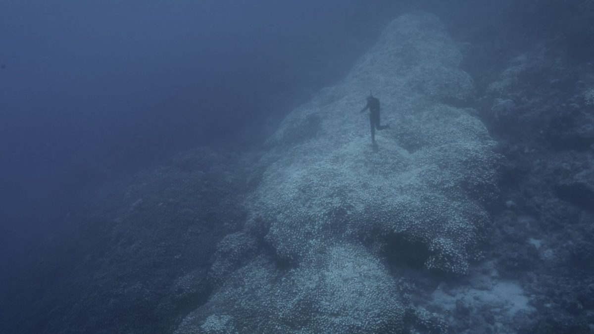 Elegia dla świata - kadr 2