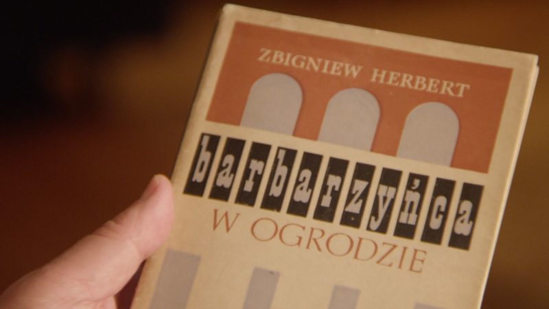 Herbert. Barbarzyńca w ogrodzie - okładka