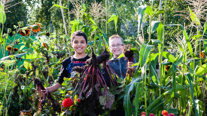 OKI DOKI: Lekcje z natury - Szkolny ogródek - okładka