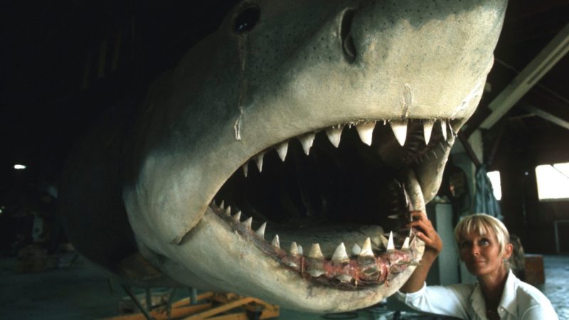 Tańcząca z rekinami - okładka