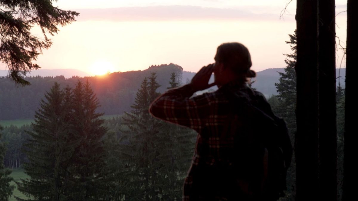 Wilki u bram - kadr 3