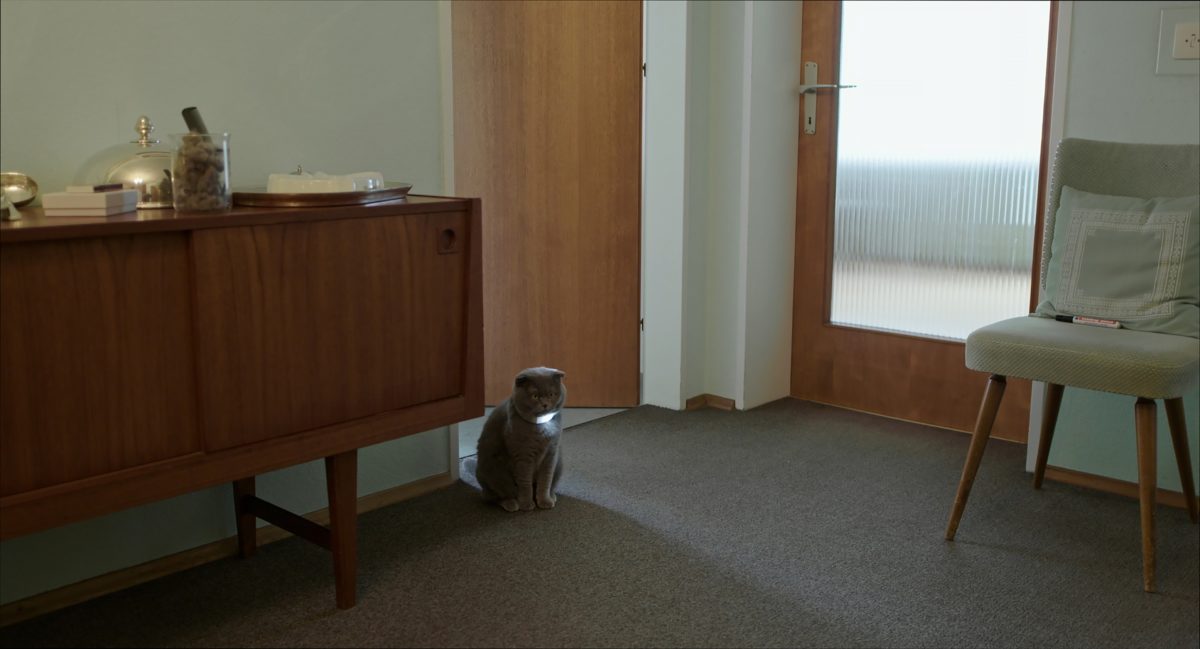 Europejskie Nagrody Filmowe I - kadr 3