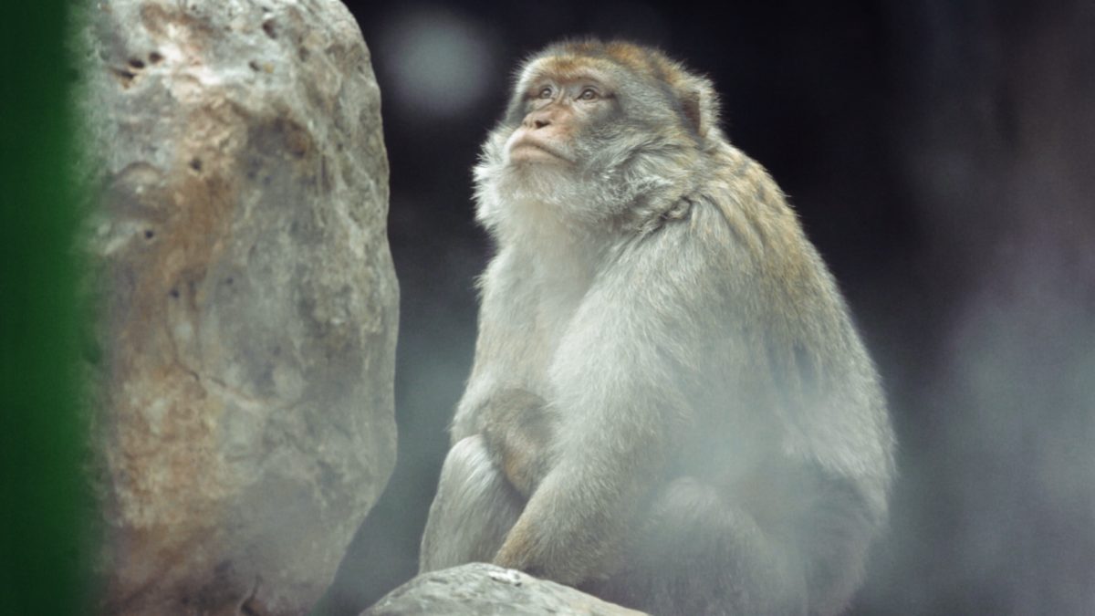 Spotlight: Kino Rebelde - kadr 2