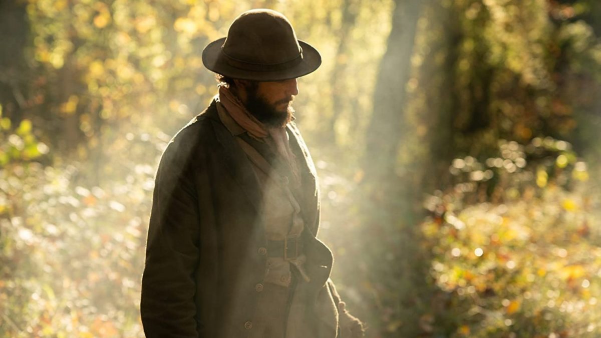 Pierwsza krowa - zdjęcie 1