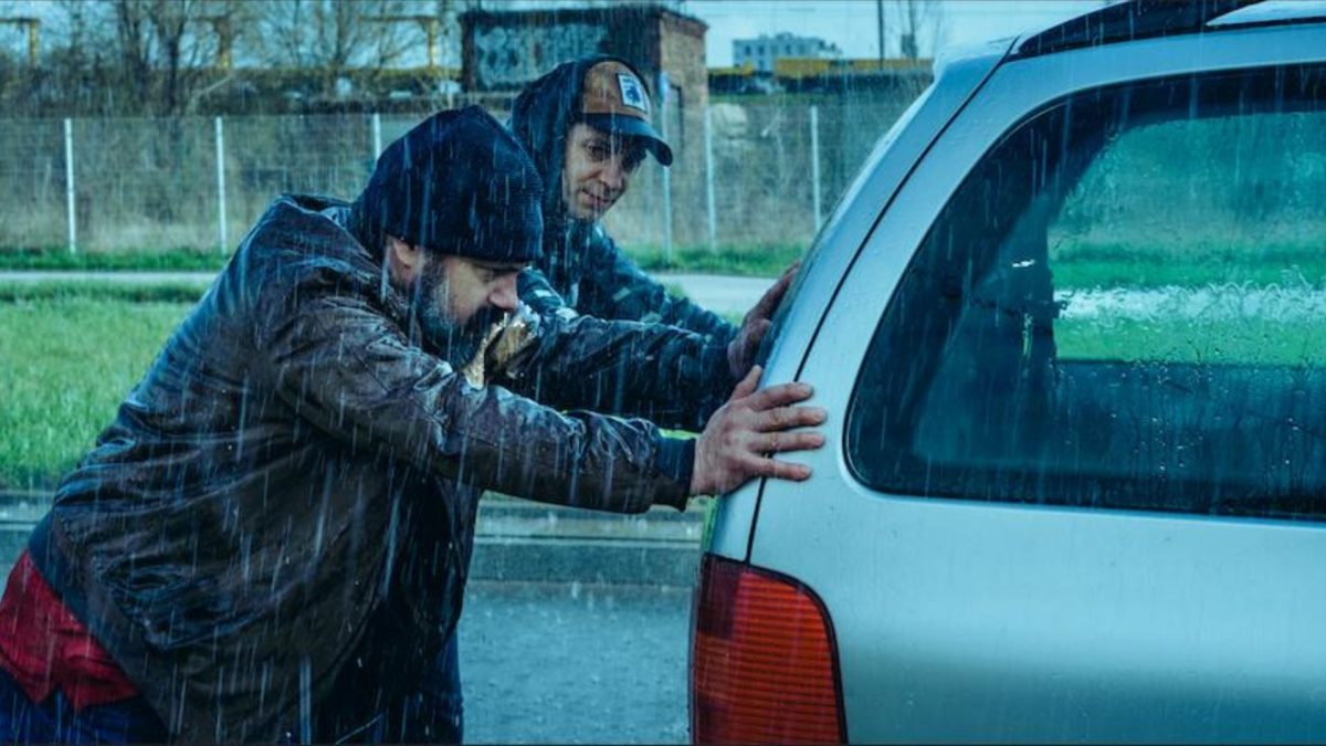 Czarna owca - kadr 3