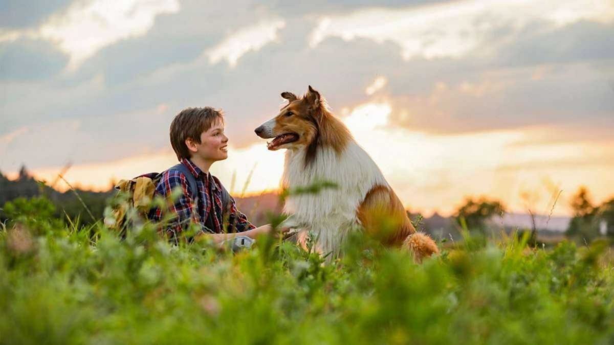 Lassie, wróć! - kadr 2