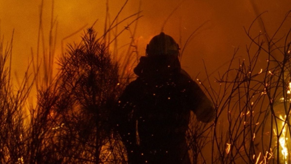 Sylwetka mężczyzny w płonącym lesie.