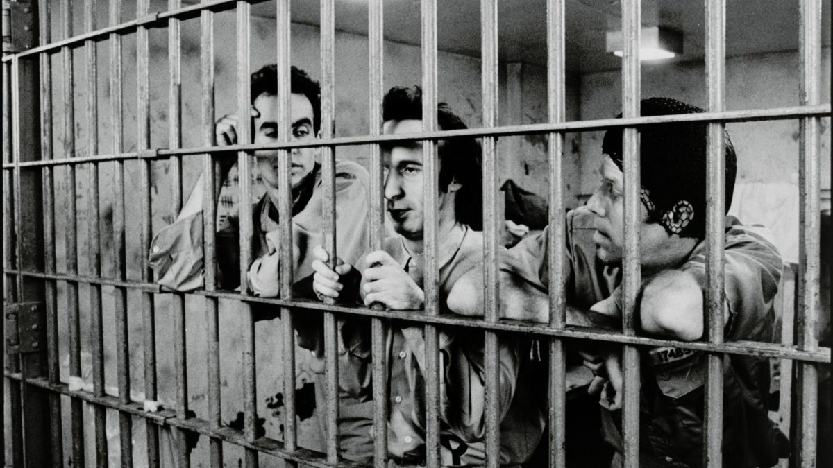 ZROZUMIEĆ JĘZYK JARMUSCHA - zdjęcie 1