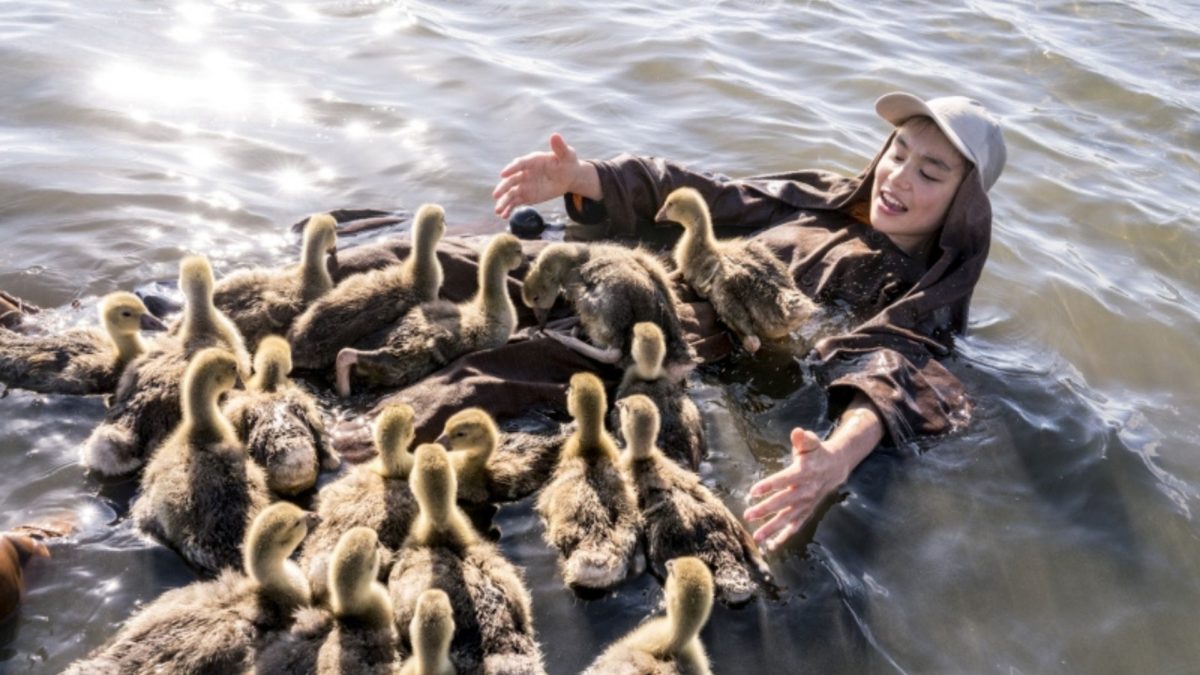 Chłopiec z chmur - kadr 1