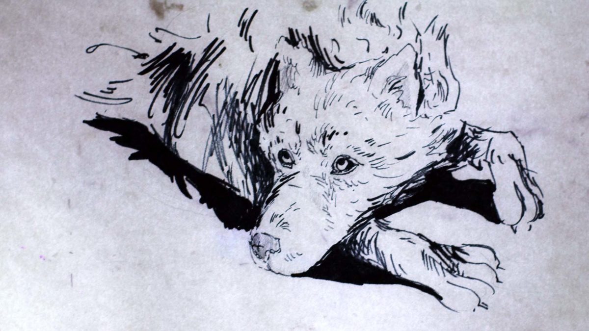 The Best of Animator 2021 - zdjęcie 3