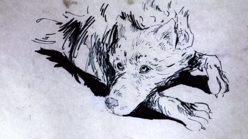 The Best of Animator 2021 - okładka