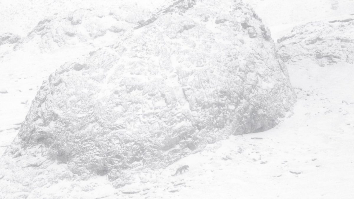 Duch Śniegów - kadr 1