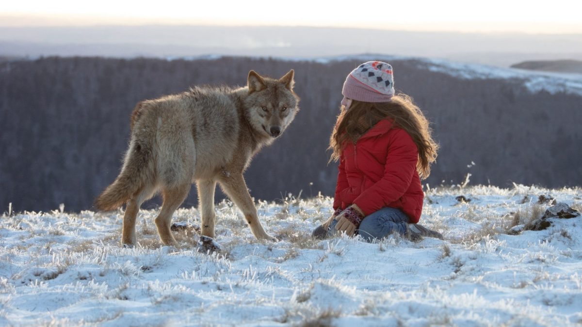 Wiki i jej sekret - kadr 3