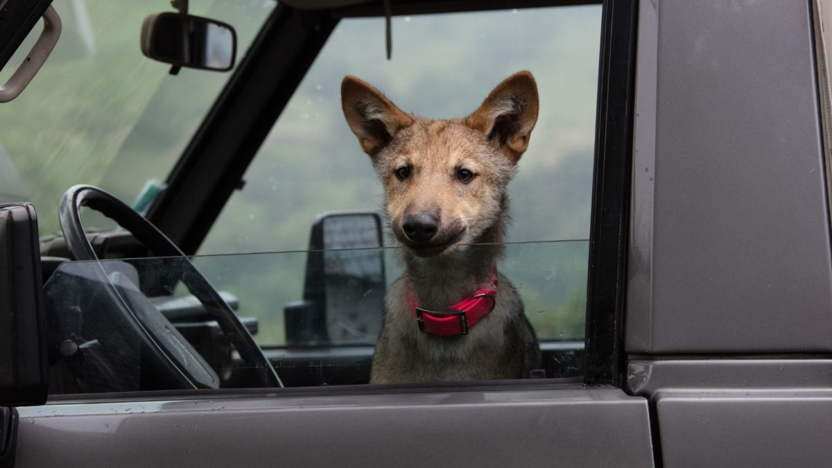 Wiki i jej sekret - kadr 2