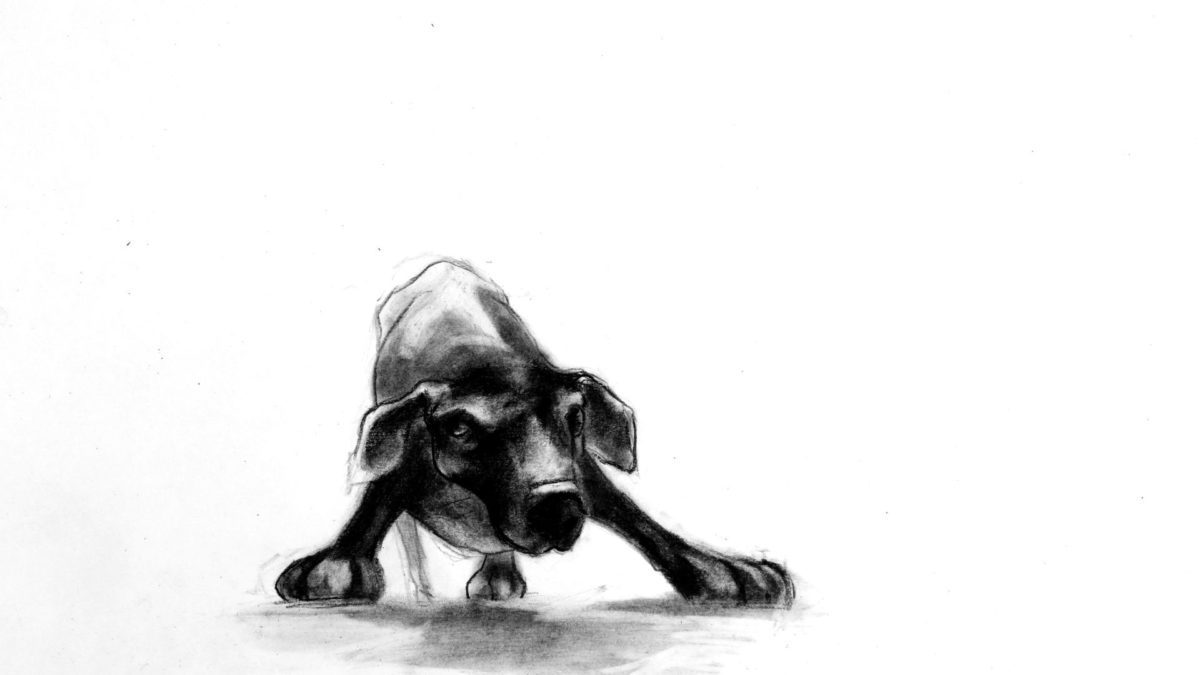 ANIMUZA: POZNAŃ ANIMUJE! - kadr 1