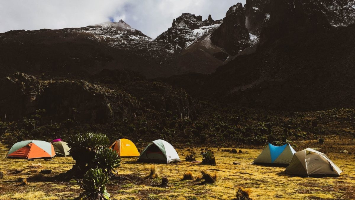 Pokaz III: KOBIETY WSPIERAJĄ KOBIETY - kadr 2