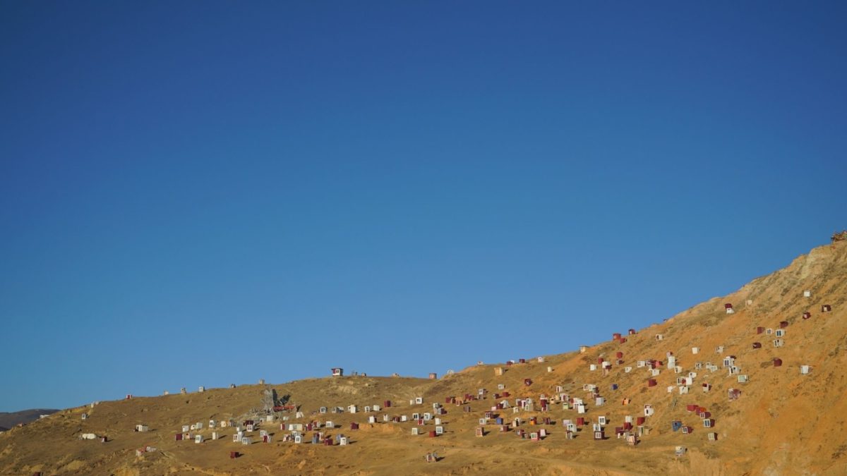 Las szkarłatnych szat - kadr 1