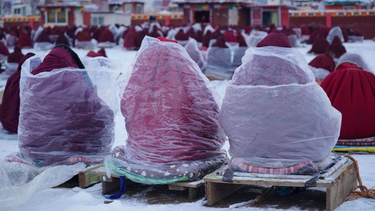 Las szkarłatnych szat - kadr 2