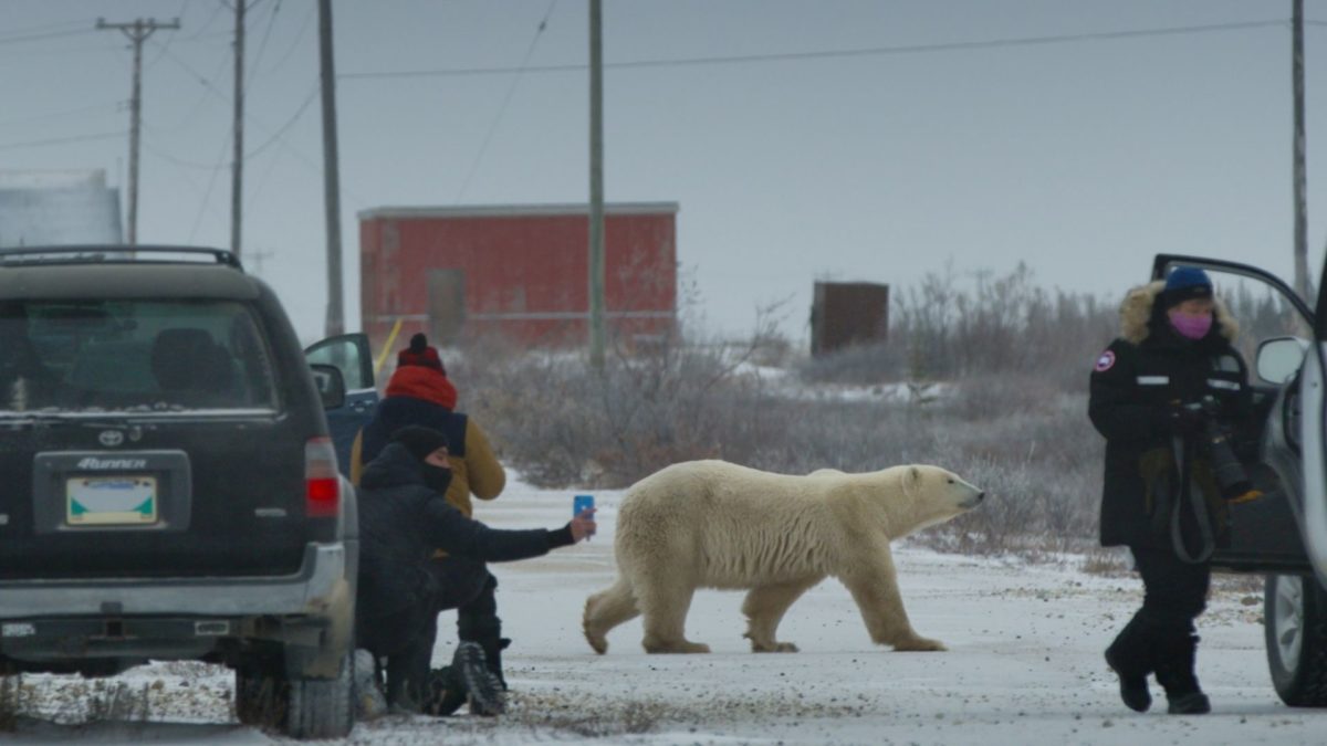 Konkurs Filmów Krótkometrażowych: BLOK II - kadr 1