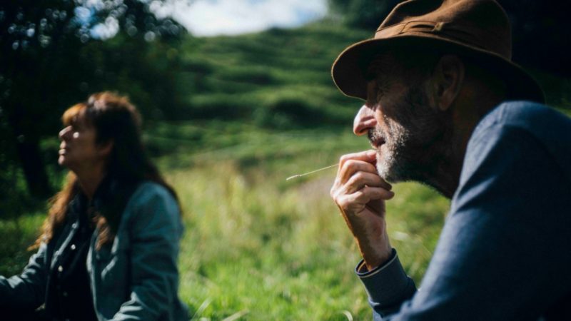 Psychodeliczny klasztor - okładka