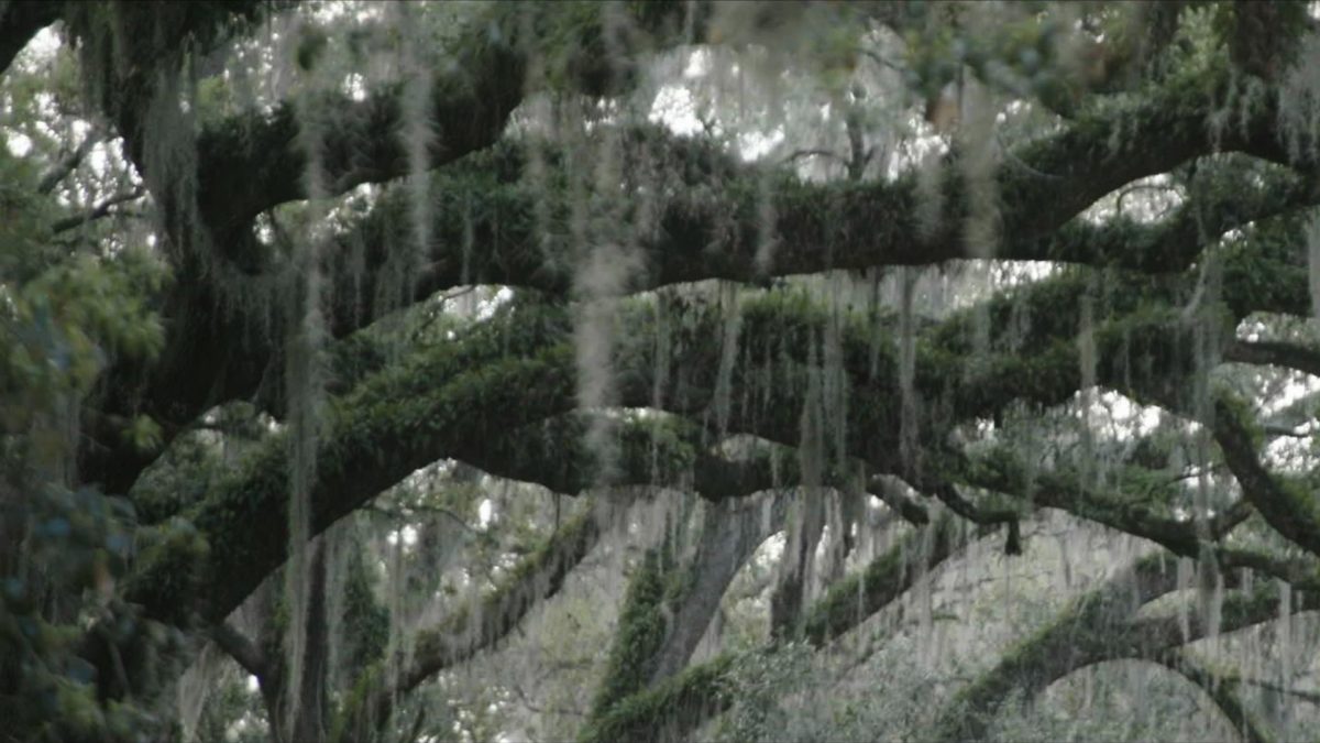 Strategia dla Ziemi - kadr 1