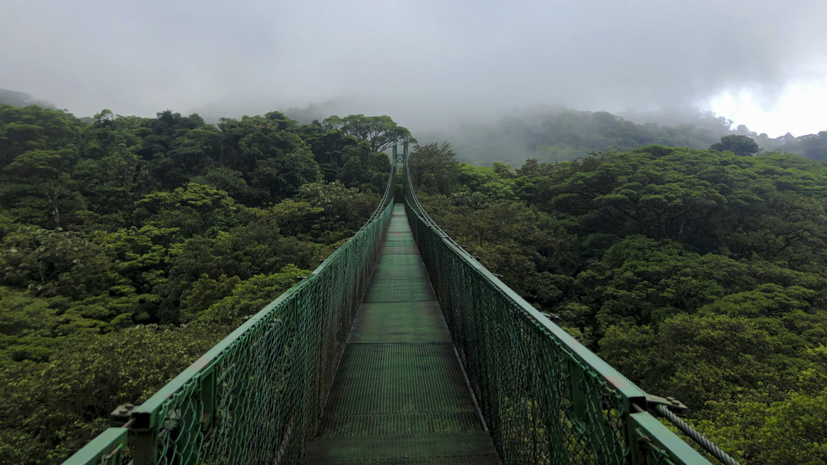 Wymyślić świat na nowo - kadr 2