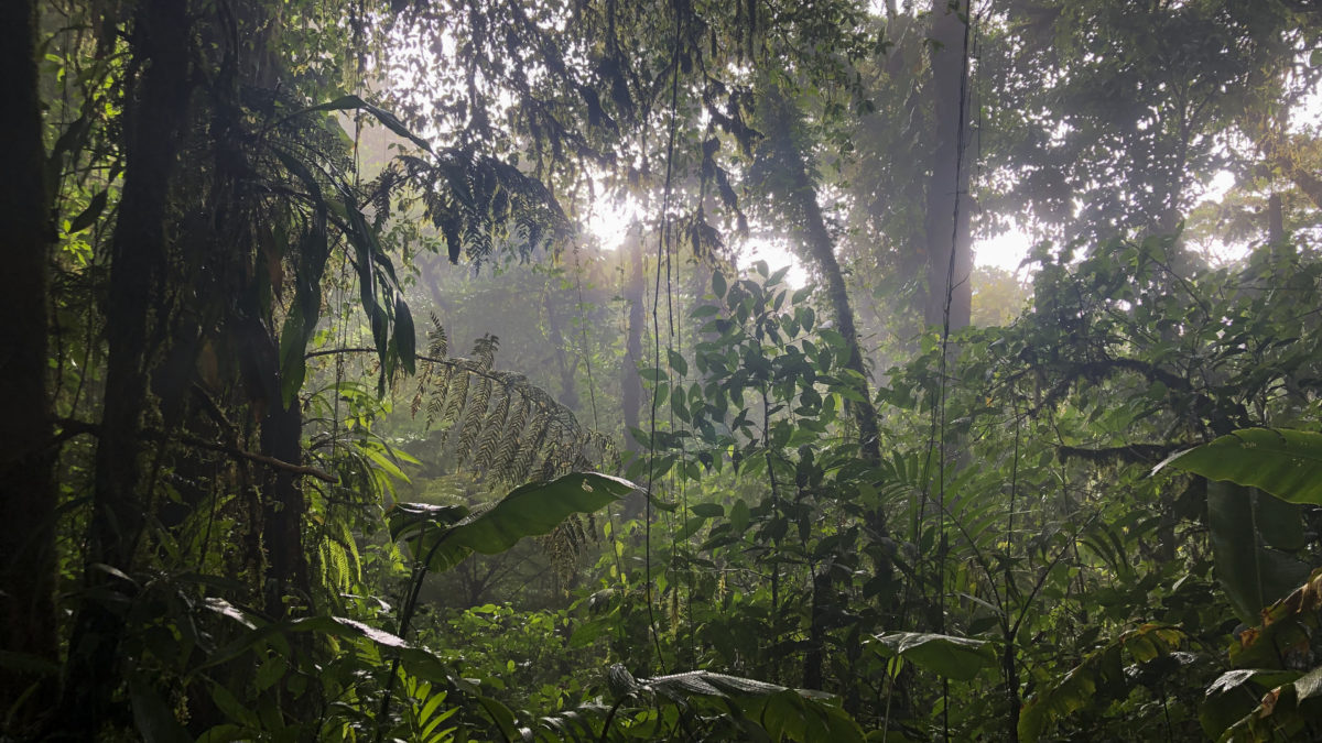 Wymyślić świat na nowo - kadr 2
