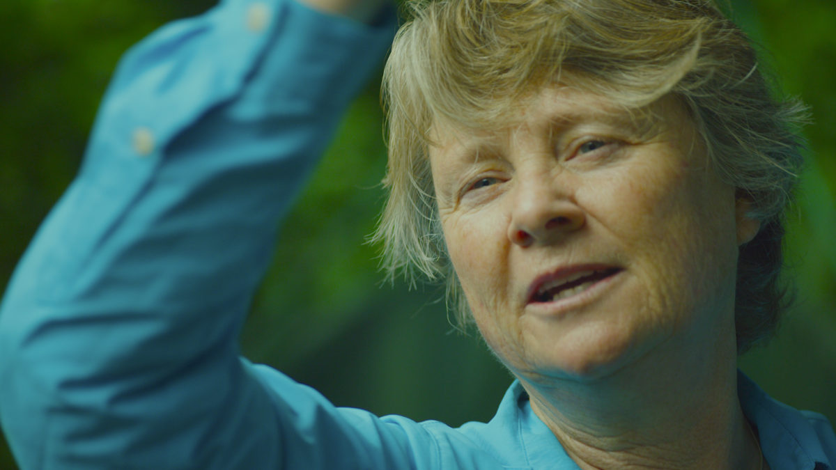 Wymyślić świat na nowo - kadr 1