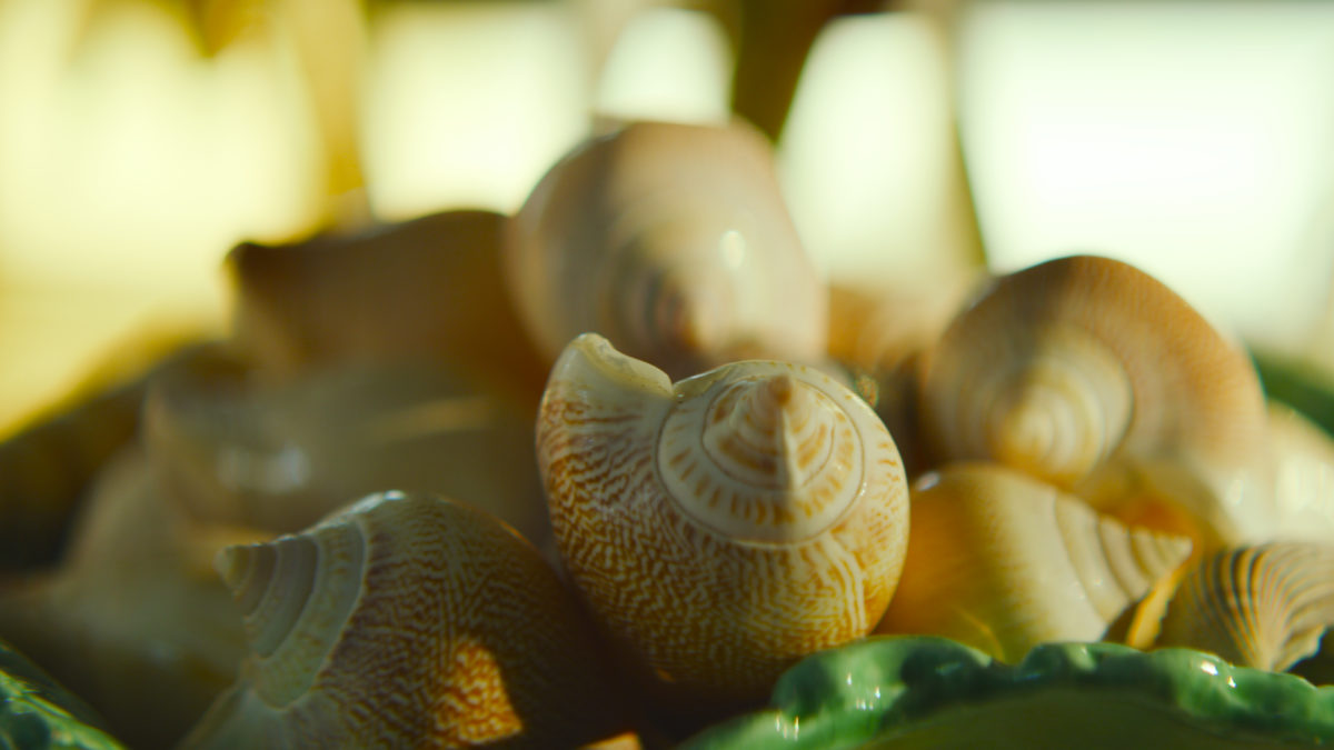 Wymyślić świat na nowo - kadr 3