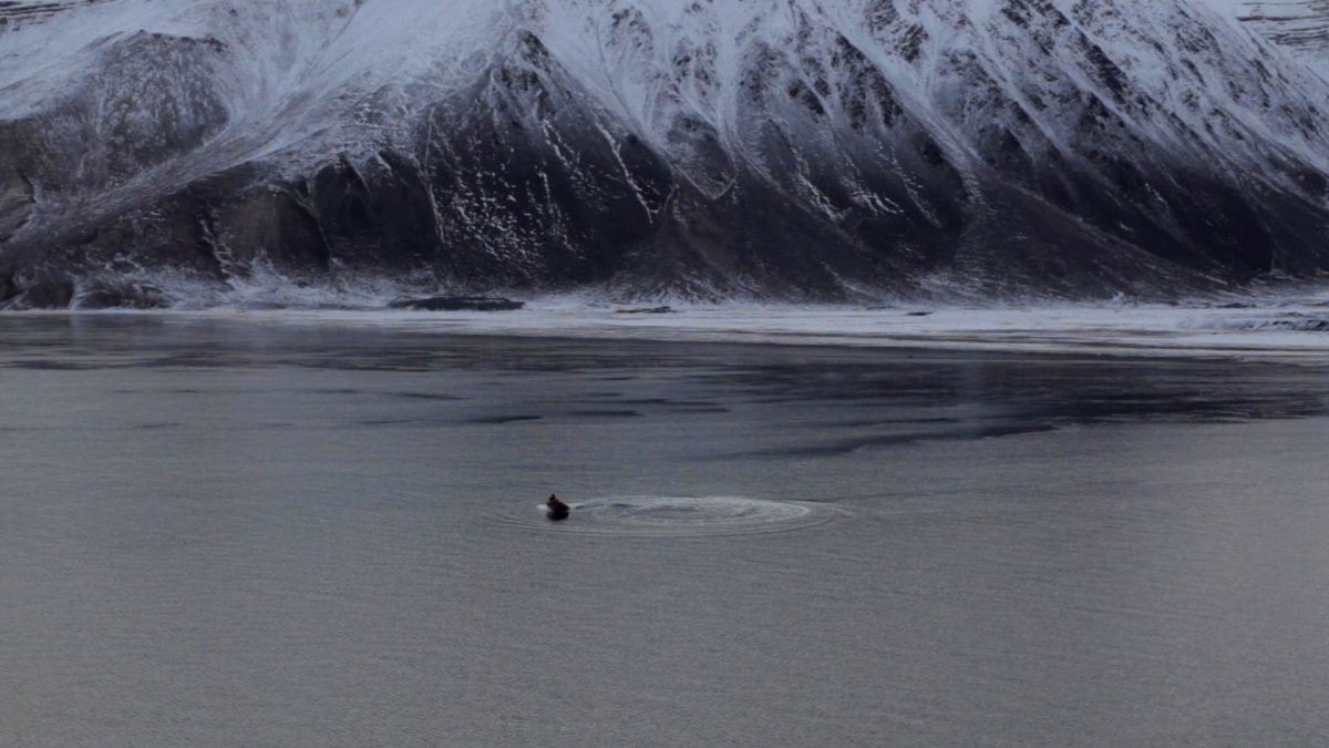 Four Perspectives on Movements: The Earth Began to Tremble - kadr 2