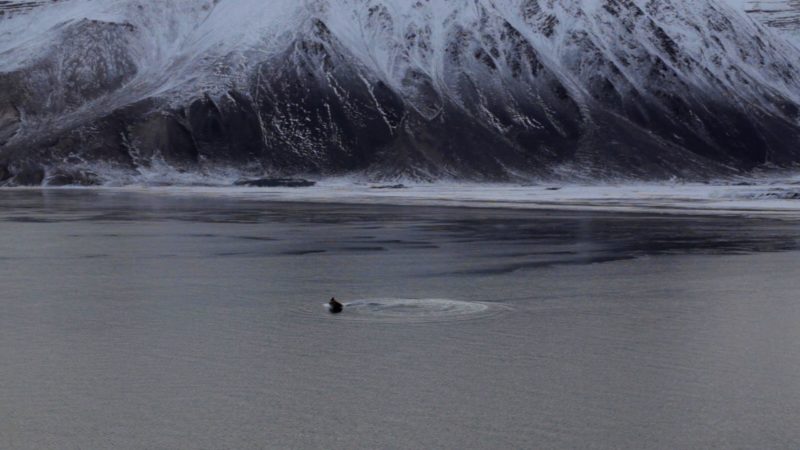 Four Perspectives on Movements: The Earth Began to Tremble - okładka