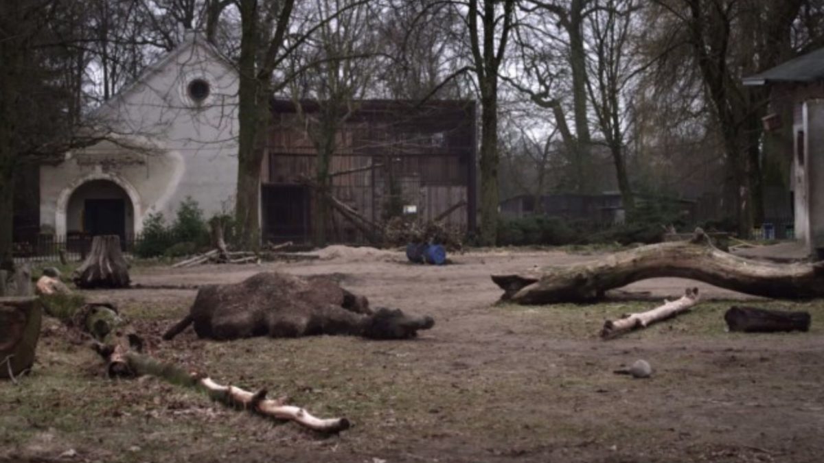 Four Perspectives on Movements: How To Move Your Washing Machine (and other heavy objects) - kadr 1