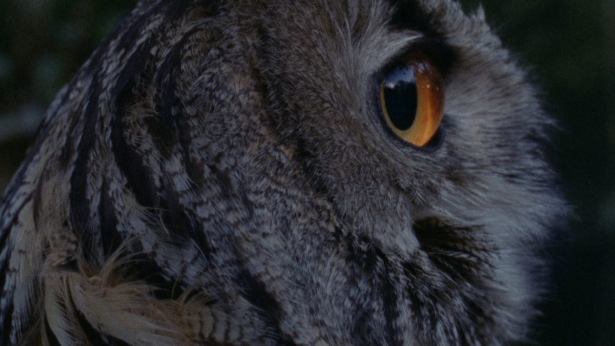 Konkurs Międzynarodowy IV: Wdech wydech - kadr 2